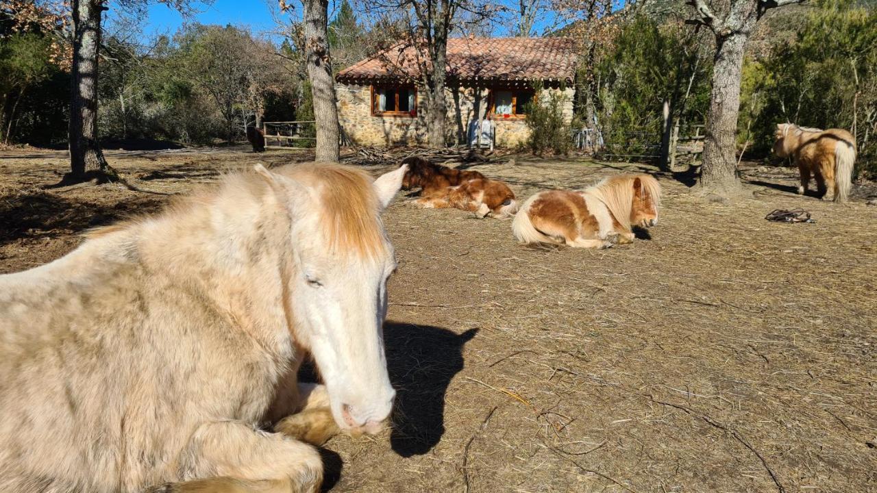 Gites A La Ferme - Hautes-Corbieres Termes Extérieur photo