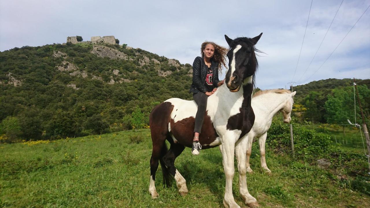 Gites A La Ferme - Hautes-Corbieres Termes Extérieur photo