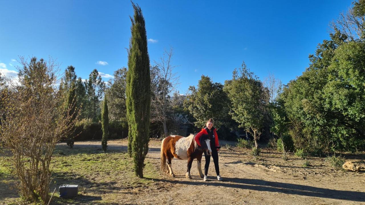 Gites A La Ferme - Hautes-Corbieres Termes Extérieur photo