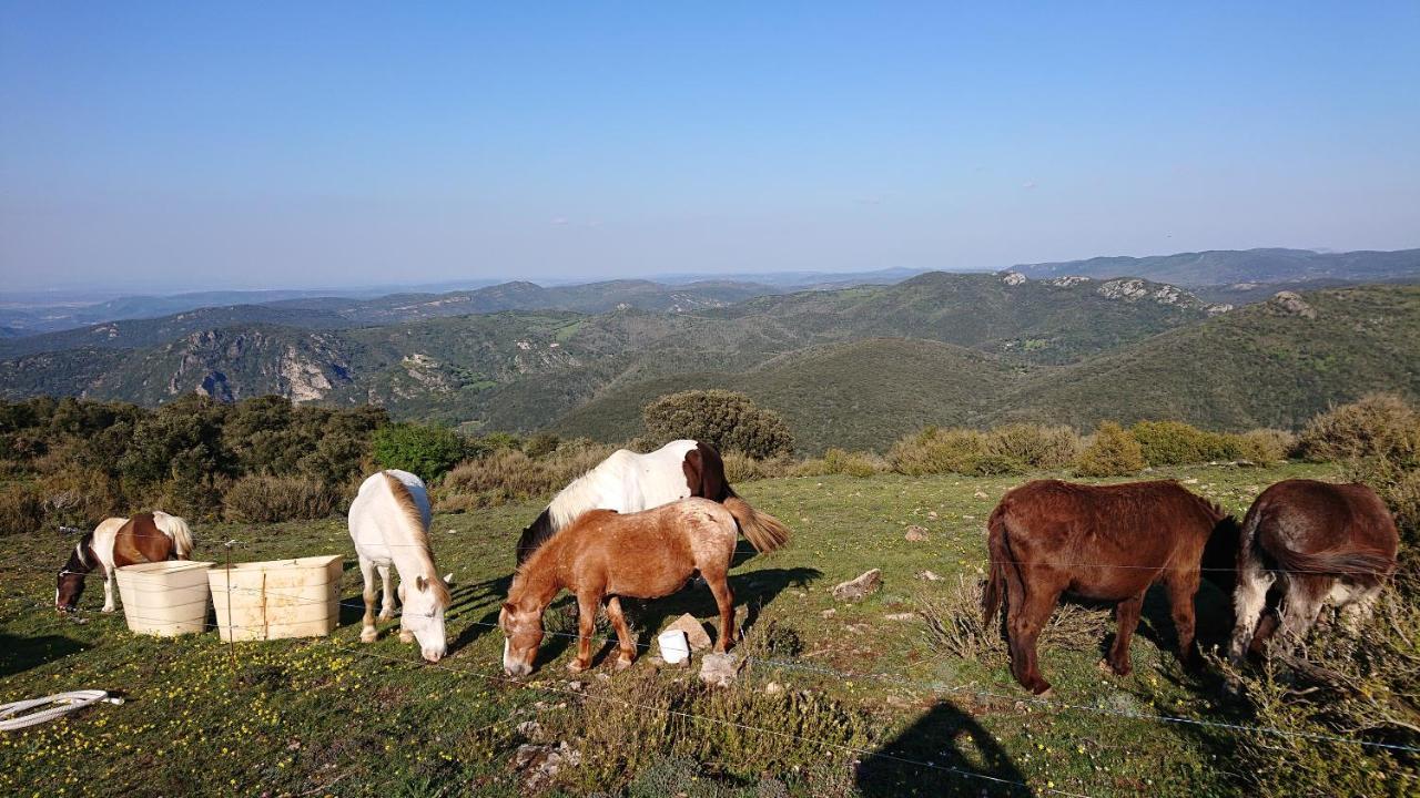 Gites A La Ferme - Hautes-Corbieres Termes Extérieur photo