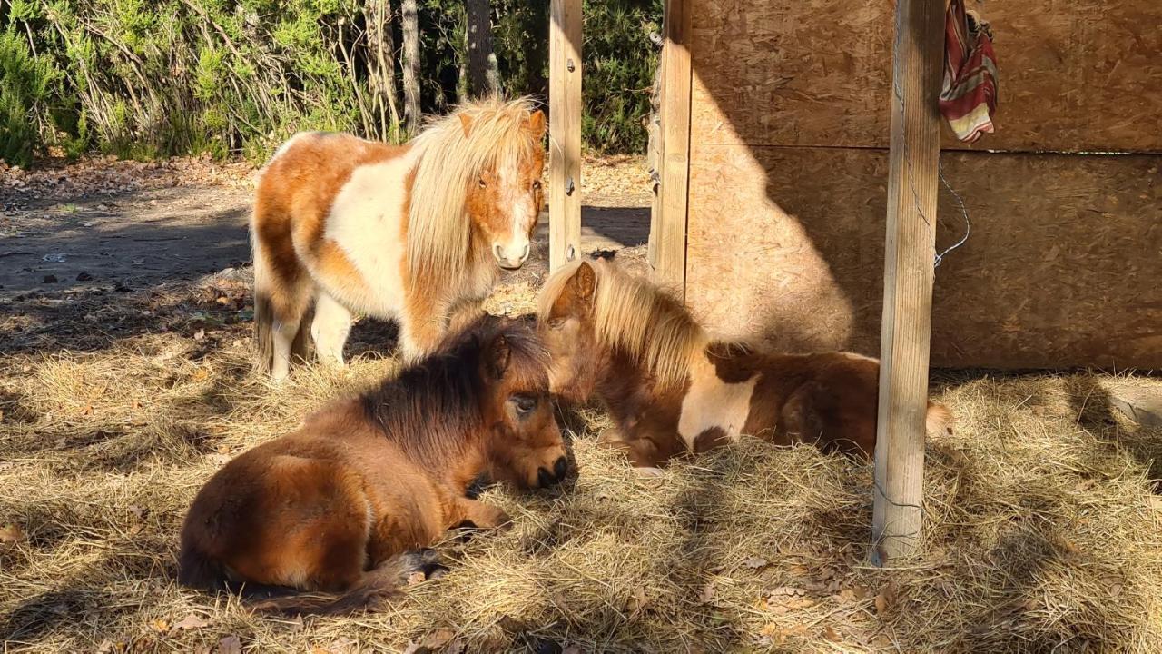 Gites A La Ferme - Hautes-Corbieres Termes Extérieur photo