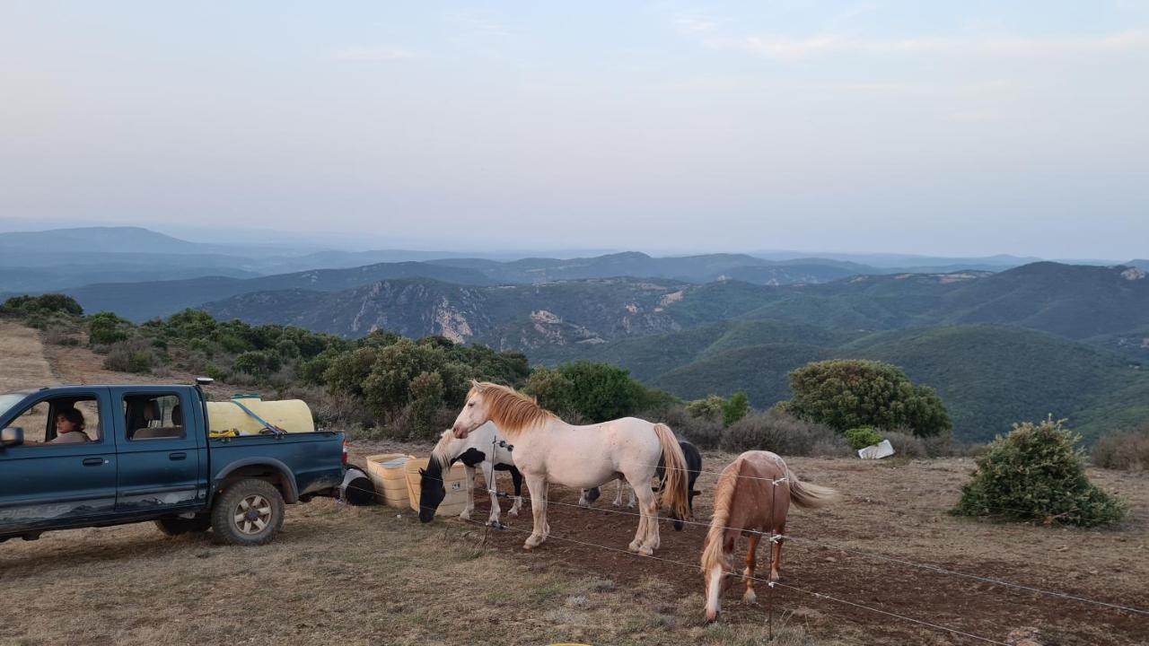 Gites A La Ferme - Hautes-Corbieres Termes Extérieur photo