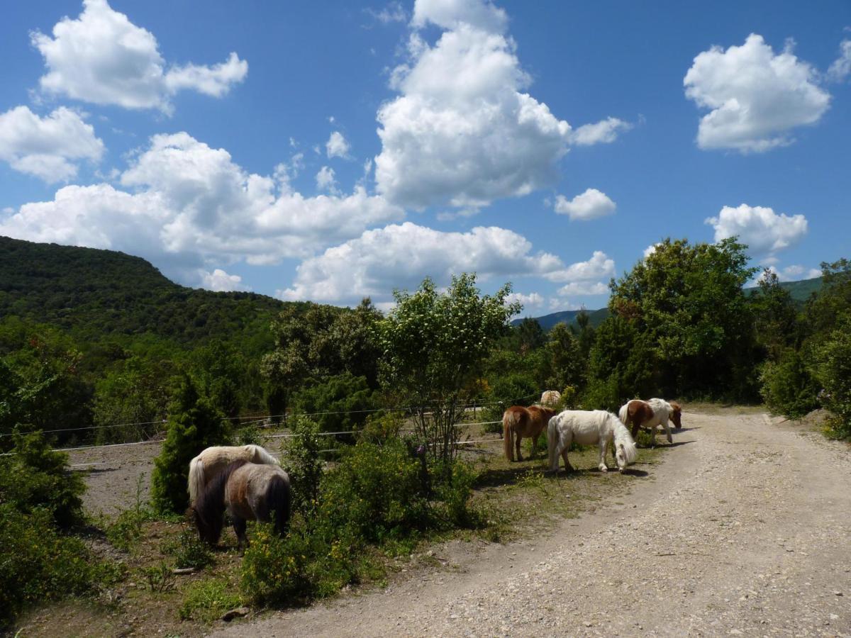 Gites A La Ferme - Hautes-Corbieres Termes Extérieur photo