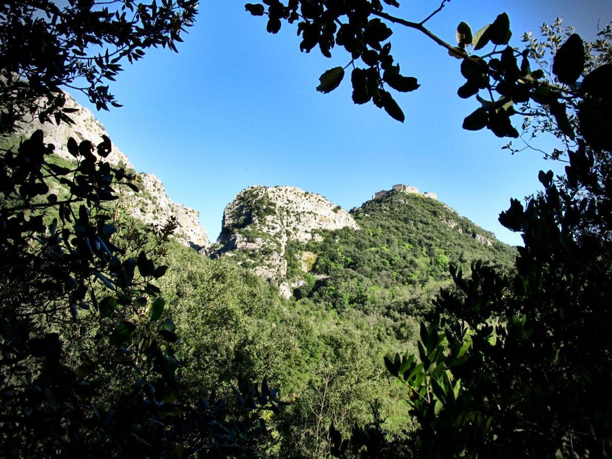 Gites A La Ferme - Hautes-Corbieres Termes Extérieur photo