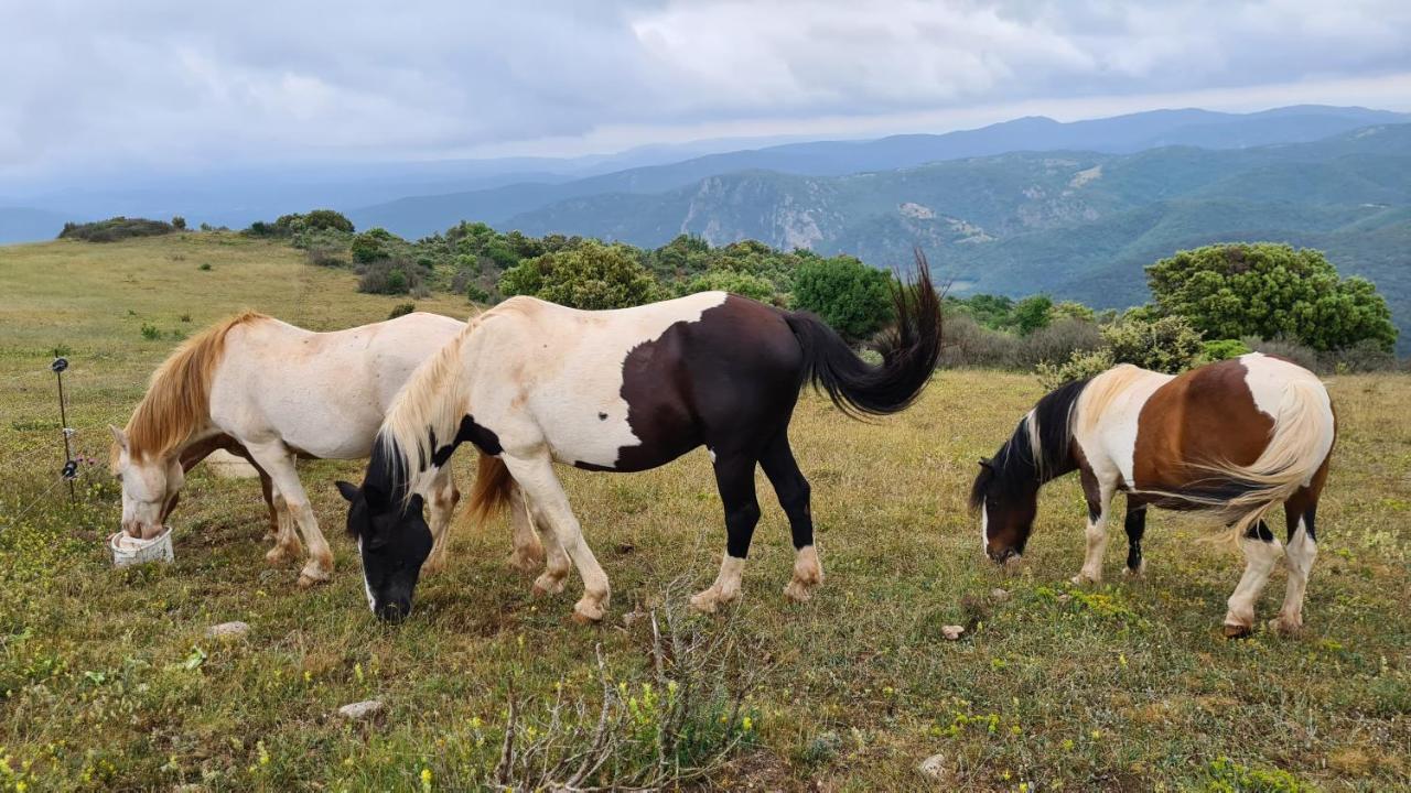 Gites A La Ferme - Hautes-Corbieres Termes Extérieur photo