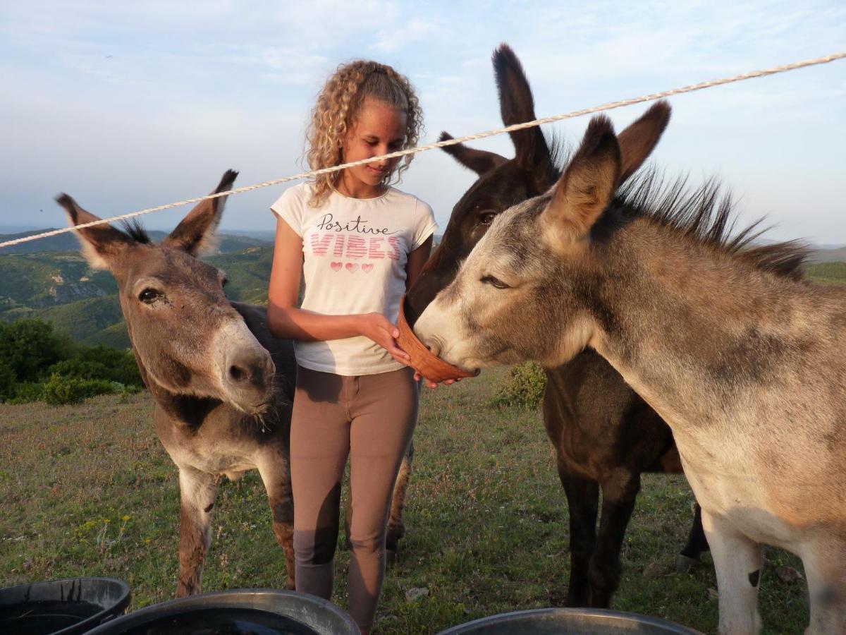 Gites A La Ferme - Hautes-Corbieres Termes Extérieur photo