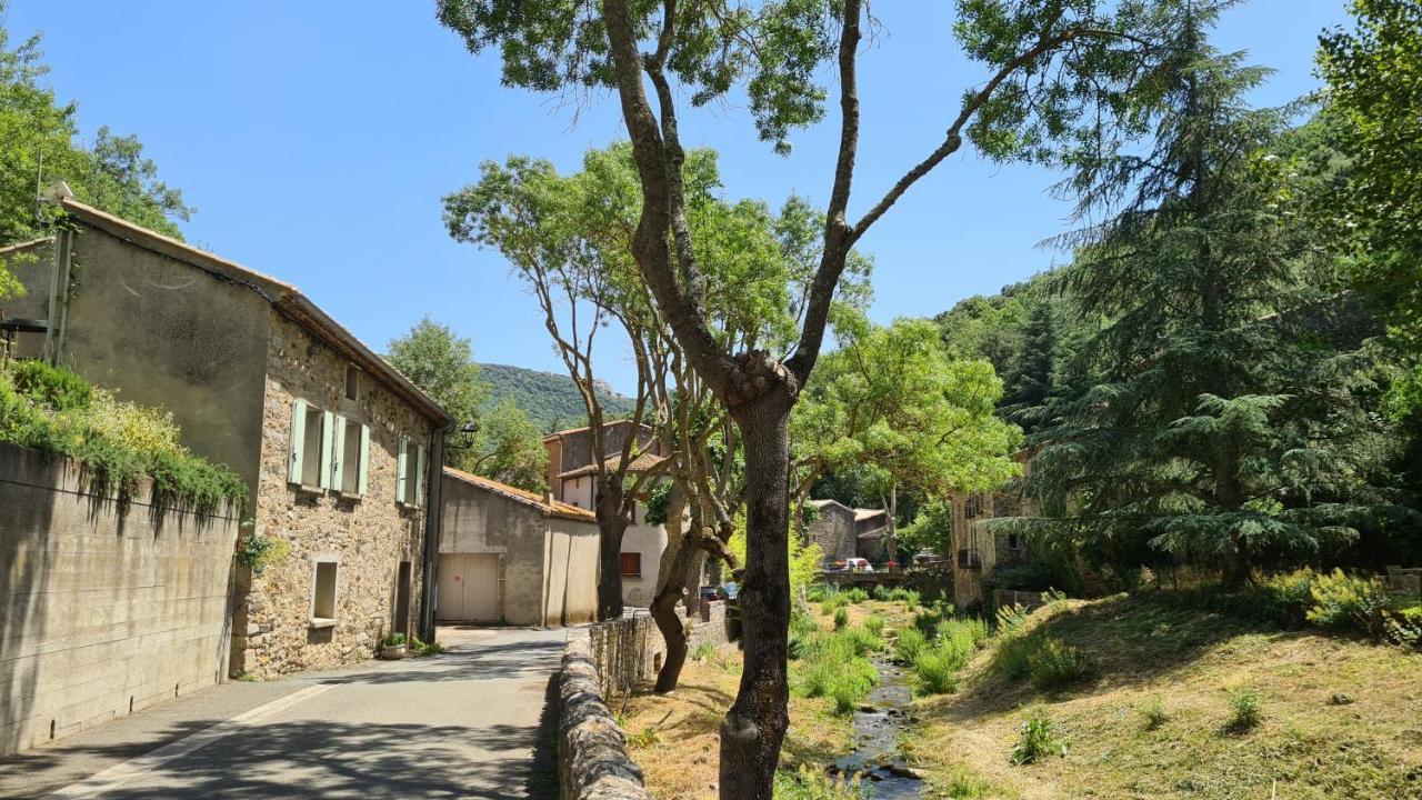 Gites A La Ferme - Hautes-Corbieres Termes Extérieur photo